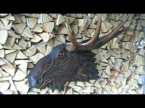 Видео: Врезаем рога на голову лося и ПАРТНЁР 350