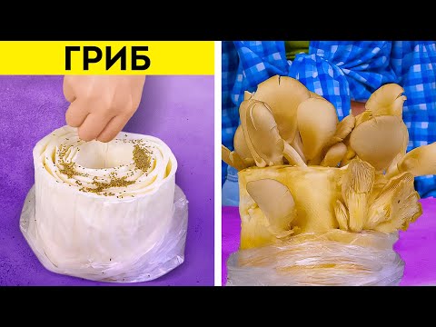 Видео: ЛУЧШИЕ СОВЕТЫ ДЛЯ КАЧЕТСВЕННОГО УХОДА ЗА РАСТЕНИЯМИ