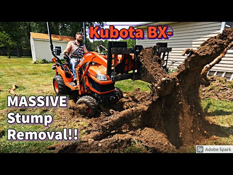 Видео: Kubota BX — удаление больших кустов + вырывание ОГРОМНОГО пня!! (JD 1023E помогает!)