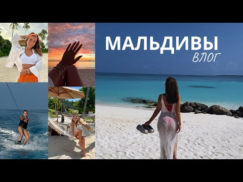 Видео: ВЛОГ: Первый раз на Мальдивах, плаваю с акулами, развеиваю главный миф,  встаю на вейк