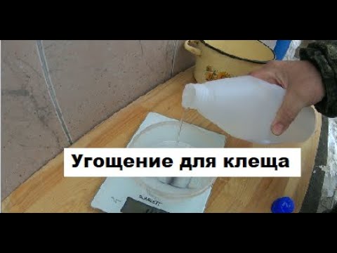 Видео: Аргентинское средство против клеща Варроа