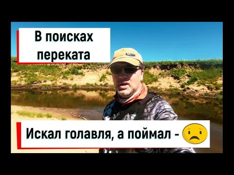 Видео: В поисках голавля. Перекат наконец-то открылся. Не ожидал поймать эту рыбу в такой реке!