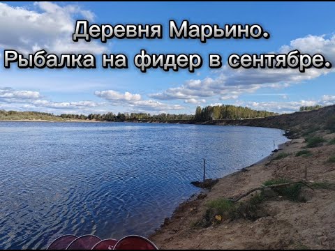 Видео: Рыбалка на фидер. Сентябрь-время ночных рыбалок. Река Ветлуга.