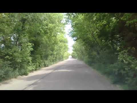 Видео: Усть-Каменогорск шмелёвка городская свалка лесхоз 2016 год