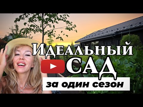 Видео: Посадили идеальный малоуходный сад за один сезон! Обзор красивого сада. Маленький сад: идеи для сада