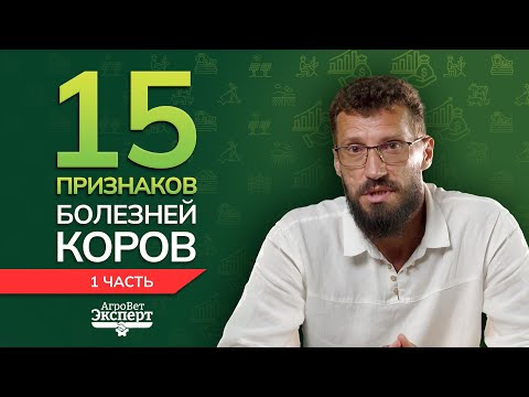 Видео: 15 признаков болезней коров. Часть 1
