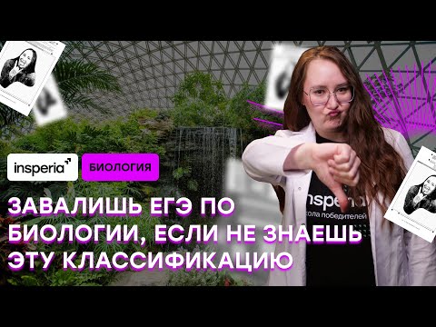 Видео: Задание 12 ЕГЭ по биологии за 10 минут, классификация растений