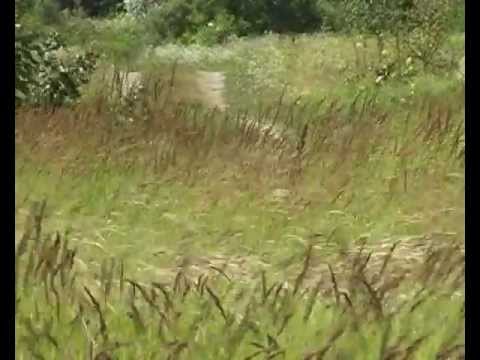 Видео: моє рідне село Устивиця