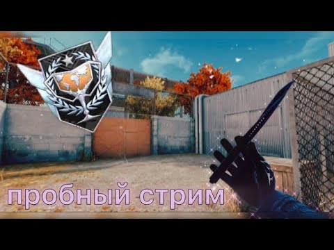 Видео: СТРИМ 🥕 играю прак с командой МАИ. прообный стрим.