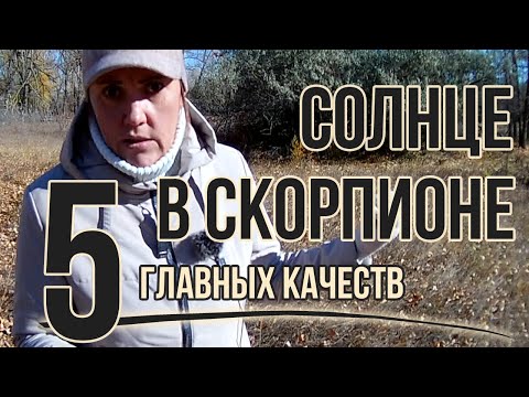 Видео: Солнце в Скорпионе: инструмент саморазвития