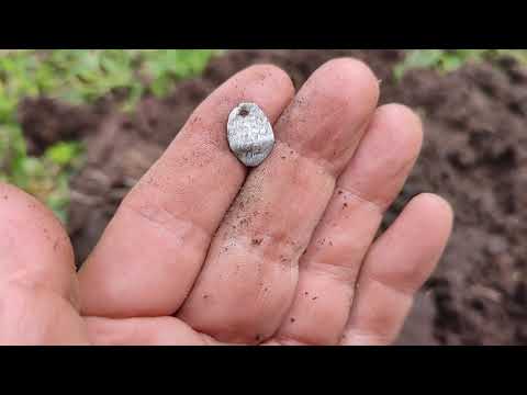 Видео: Средневековое поселение, коп на пастбище