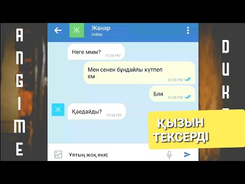 Видео: ҚЫЗЫН ТЕКСЕРДІ | ҚЫЗЫ АҚШАҒА САТЫЛДЫ | ӨТЕ АЯНЫШТЫ