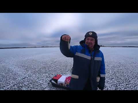 Видео: Аллаки.  Рыба клюёт у Больших камней