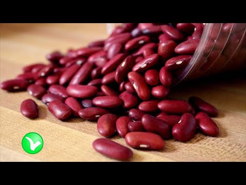 Видео: КРАСНАЯ ФАСОЛЬ – всем нужна??? Польза и вред красной фасоли для человека.