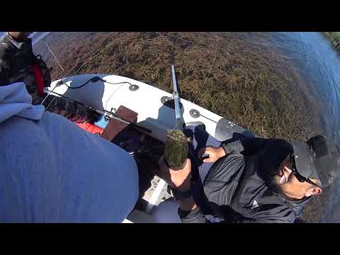 Видео: ОПЯТЬ КРУТАЯ РЫБАЛКА!Рыбалка на р.или 2020 Ловля змей головы!!!