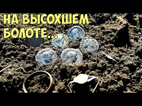 Видео: Коп на высохшем болоте!Копаю онлайн,столько денариев давненько не находил!