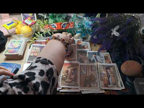 Видео: 23 августа 2025 г.
