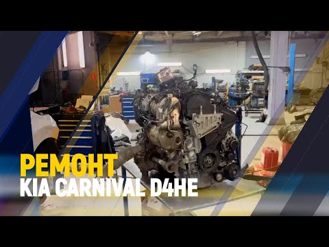 Видео: Ремонт kia carnival D4HE