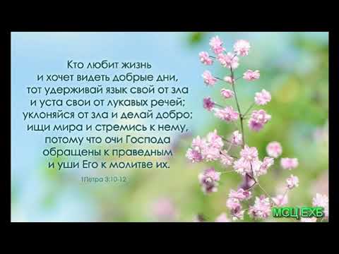 Видео: "О злословии". А. Сенцов. Проповедь. МСЦ ЕХБ.