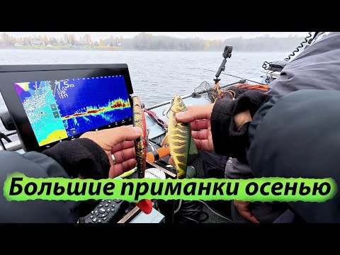 Видео: БОЛЬШИЕ ПРИМАНКИ на Щуку. Рыбалка на спиннинг в октябре