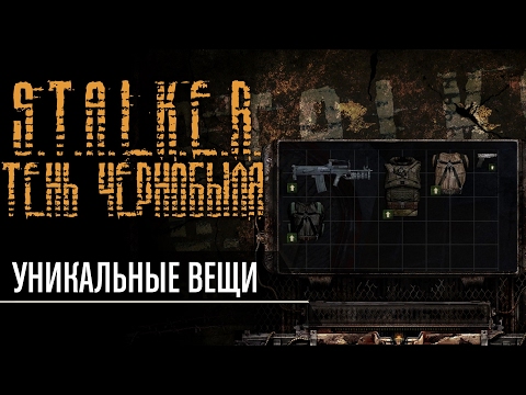 Видео: Уникальные вещи в S.T.A.L.K.E.R. Тень Чернобыля