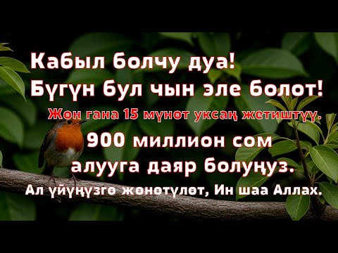 Видео: Керемет дуба! Акча үзгүлтүксүз агып, карыздар жок болуп, бакыттуу өмүр келет!!! - 99