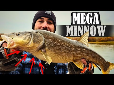 Видео: САМАЯ БОЛЬШАЯ ЩУЧЬЯ МИННОУ ЗА ВСЕ ВРЕМЯ?!