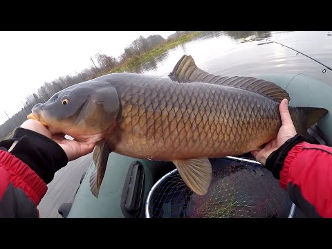 Видео: НА БУКСИРЕ У САЗАНА !  ВСПОМИНАЯ ОТКРЫТУЮ ВОДУ !