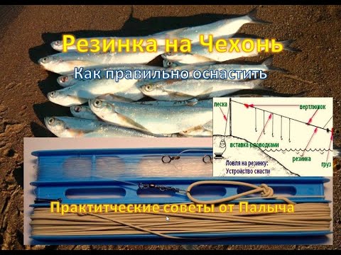 Видео: РЕЗИНКА на ЧЕХОНЬ. Правильное изготовление и оснащение.