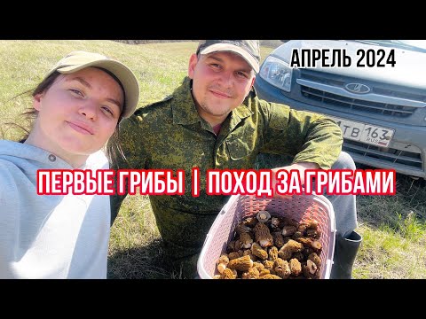 Видео: ПЕРВЫЕ ГРИБЫ | Поход за грибами | о такой грибалке многие мечтают