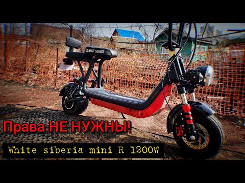 Видео: Электроскутер White siberia mini R 1200W / ПРАВА БОЛЬШЕ НЕ НУЖНЫ!?