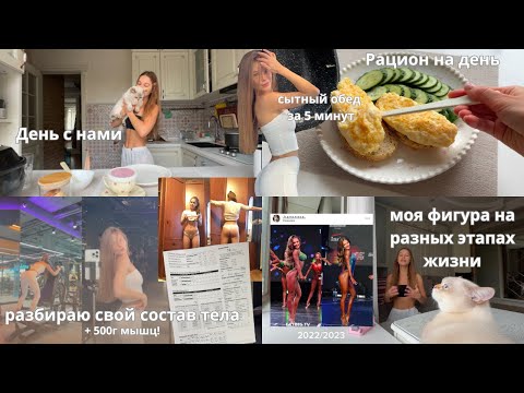 Видео: От фото “до” к фигуре мечты | Мой прогресс за месяц | Завтрак, анализ тела, быстрый обед | Банни