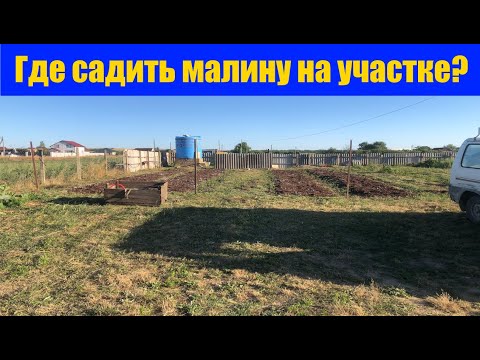 Видео: ОБЗОР УЧАСТКА ДЛЯ МАЛИНЫ ||  Куда лучше посадить малину || Где садить малину на участке?