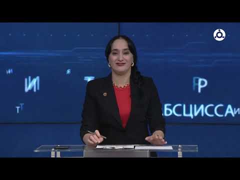 Видео: Эрудиты. Единство & Дикая дивизия