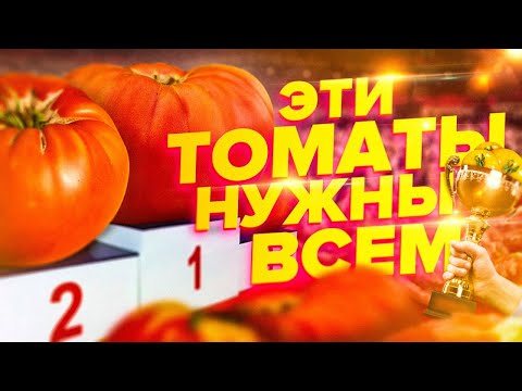 Видео: ТОП 10 ЛУЧШИХ ТОМАТОВ 2020