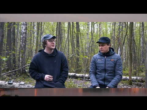 Видео: фрэнк? в программе Депрсна