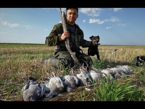 Видео: Настрелялись от души на ОХОТЕ НА ВЯХИРЯ  с чучелами. Главное найти место!