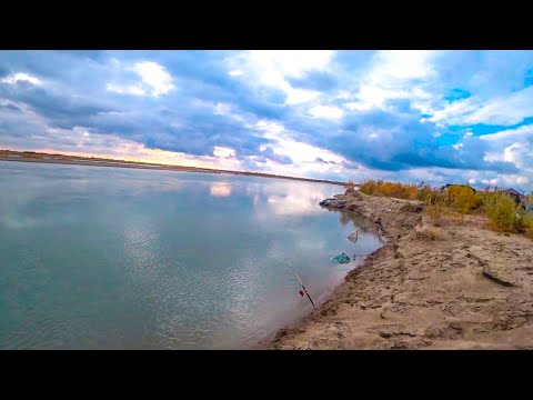 Видео: РЫБАЛКА на Реке ИЛИ. КРАСОТА!!! Ловим рыбу, КАЙФУЕМ на Природе. Сазан, Жерех.