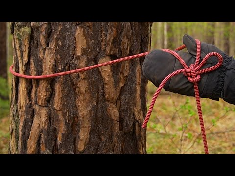 Видео: КАК ПРИВЯЗАТЬ ВЕРЕВКУ к ДЕРЕВУ  #2 | Узел Казачий | Узел Калмыцкий | Травяная петля