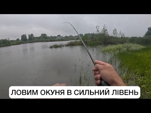 Видео: ЯК ЛОВИТИ ОКУНЯ ВЛІТКУ? - РИБАЛКА В СИЛЬНИЙ ДОЩ