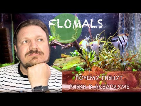 Видео: ПОЧЕМУ ГИБНУТ РЫБКИ В АКВАРИУМЕ