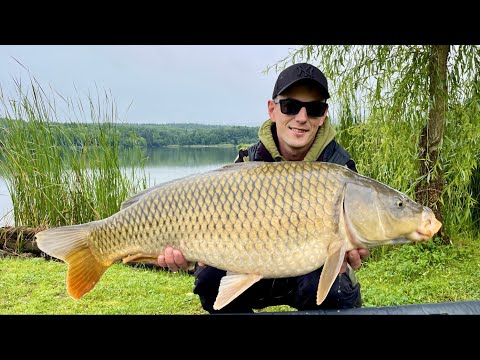 Видео: СКАЖЕНІ САЗАНИ - Рибалка на коропа