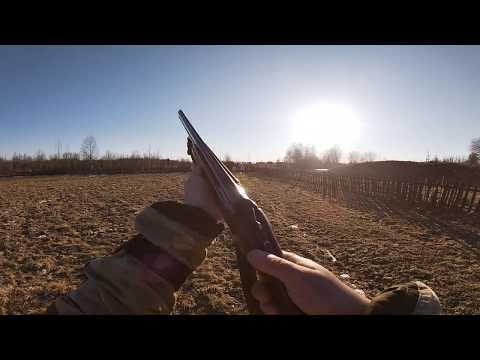 Видео: 20 калибр!)))  Да и 0,25 нормально))))!