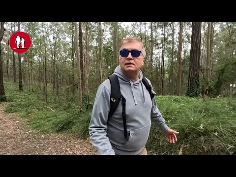 Видео: Зима в субтропиках. Бризбен