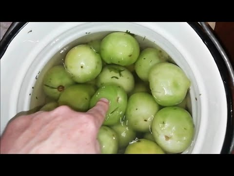 Видео: Самый быстрый способ засолки зеленых помидор