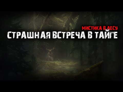 Видео: Страшная встреча в тайге - Мистика в лесу.