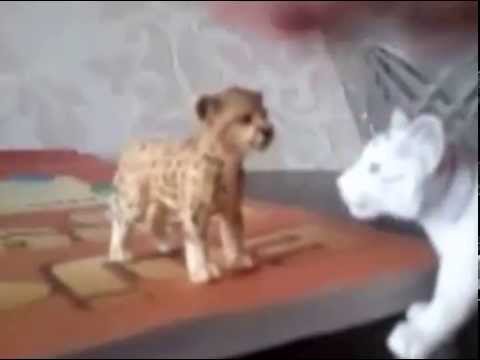 Видео: Schleich- История белой тигрицы. Часть 2.