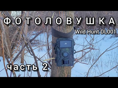 Видео: ФОТОЛОВУШКА WILD HUNT DL001 НА ЗИМНЕЙ РЕКЕ