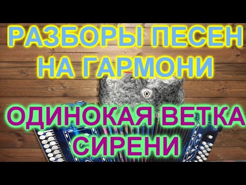 Видео: РАЗБОРЫ ПОД ГАРМОНЬ! ОДИНОКАЯ ВЕТКА СИРЕНИ!