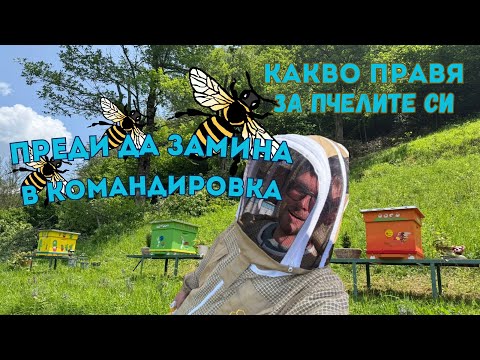 Видео: ТРИ ПЧЕЛНИ КОШЕРА; РАЗВИТИЕТО НА ОТВОДКИТЕ
